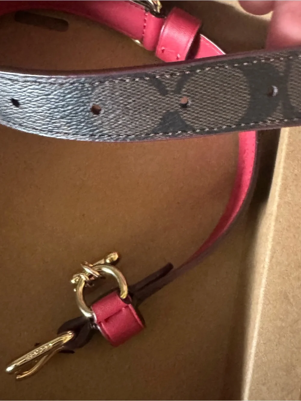 NWT Coach Signature Leather Dog Collar Brown Red Gold w/Charm LARGE 17” - 21”